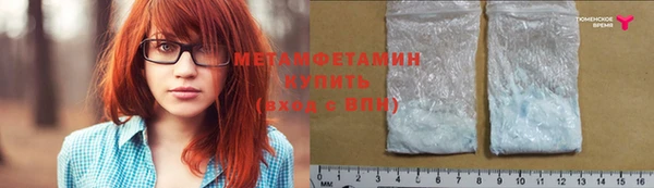 прущие грибы Бронницы