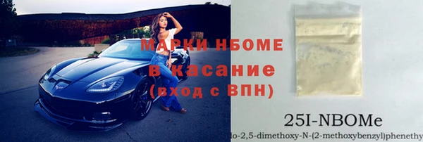 прущие грибы Бронницы