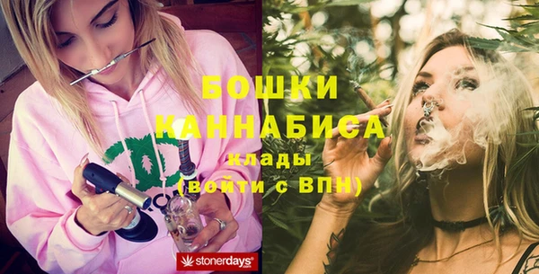 прущие грибы Бронницы