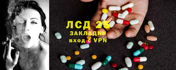 прущие грибы Бронницы
