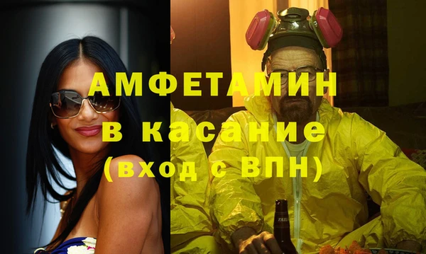 прущие грибы Бронницы