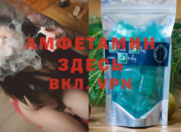прущие грибы Бронницы