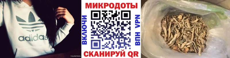 Псилоцибиновые грибы прущие грибы Купить закладки Верхний Уфалей